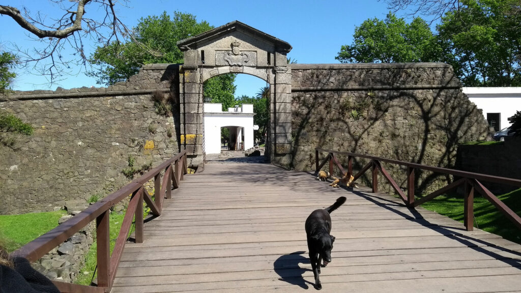 This bridge passes through an opening in the outer wall of historic Colonia. My new furry friend in the foreground helped show us around the old city. 